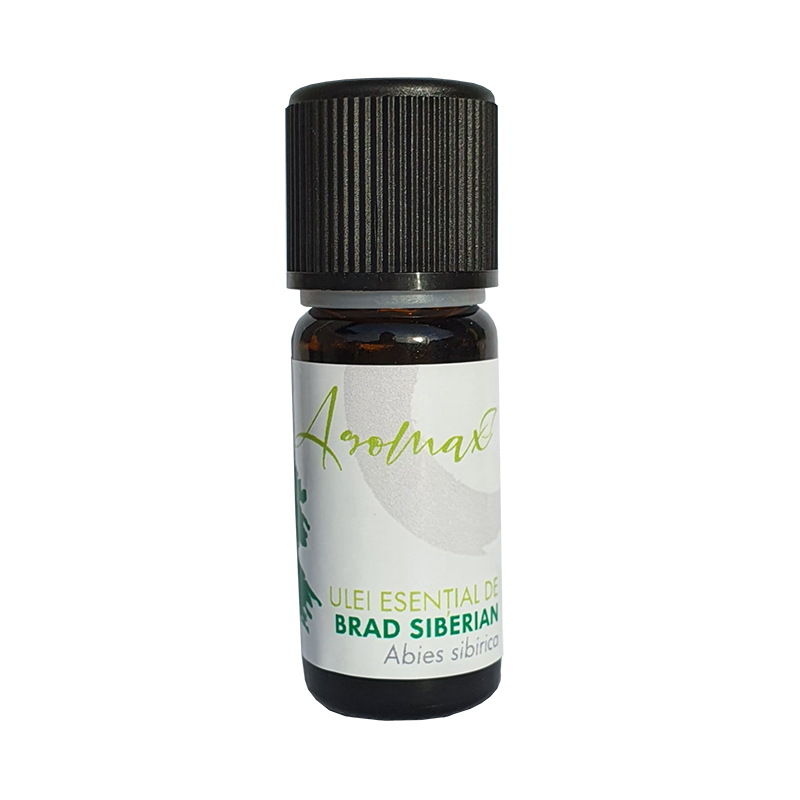 Brad Siberian