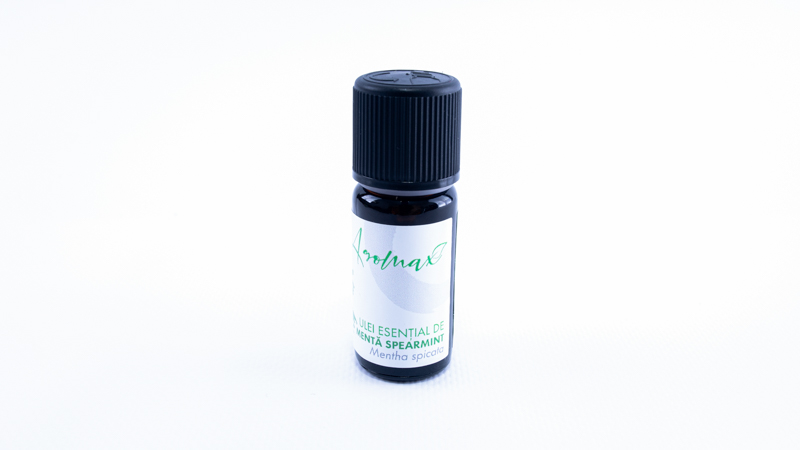 Mentă Spearmint